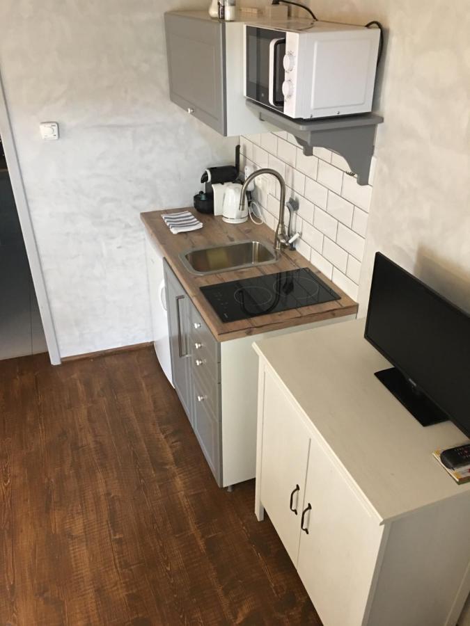U Dr. Fausta Apartman Slavonice Kültér fotó