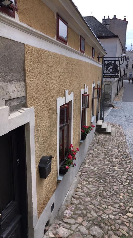 U Dr. Fausta Apartman Slavonice Kültér fotó